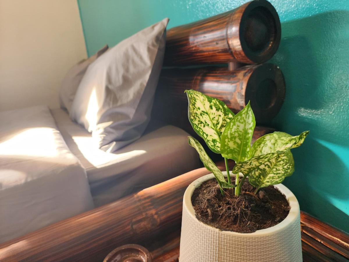 Blue Moon House - A Budget Hostel For Easy Travellers チエンマイ エクステリア 写真